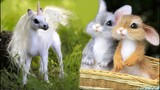 Cutest baby animals Videos Compilation Cute moment of the Animals - Cutest Animals #19