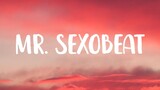 Alexandra Stan - Mr. Saxobeat (Lyrics) "hey sexy boy set me free" [Tiktok Song]