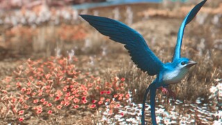 [Medien/Hermes] [6.0 Peringatan] "Merpati abu-abu biru, apa yang kamu lihat?"