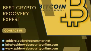 CONSULT A LICENSED CRYPTO RECOVERY EXPERT - SPIDER WEB SECURITY