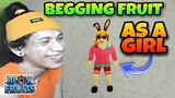 Blox Fruits #34 Begging Fruit As A Girl, Here's What happened..... | Roblox Tagalog