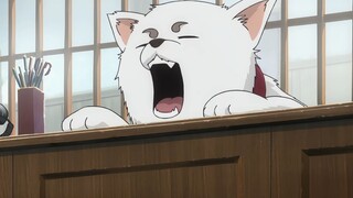 Gintama: Bạn có biết bộ phim Gintama đầu tiên tệ đến mức nào không?