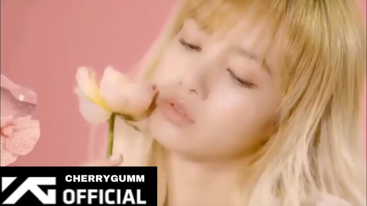 BLACKPINK (블랙핑크) - ‘REALLY’ FMV