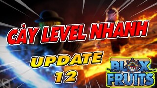 Hướng Dẫn CÀY LEVEL SIÊU NHANH TRONG UPDATE 12 Blox Fruits | Roblox