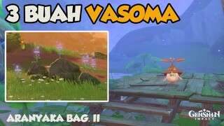 3 Buah Vasoma dari Pohon Vasara | Aranyaka Bag  II 【Genshin Impact】