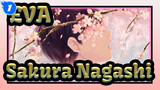 EVA|[Sakura Nagashi]Looking forward to cherry blossoms in the winter(Kaworu x Shinji)_1