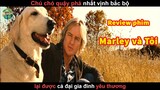 Chú Chó Quậy nhất Vịnh Bắc Bộ và Cái Kết - review phim Marley và Tôi