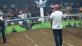 Lipa 7 cock derby finals ft.6. Dragon Hatch cross win