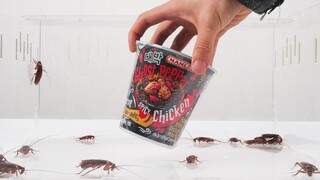 Apa Yang Terjadi Jika Menyuapi Mi Ghost Pepper Untuk Kecoak?