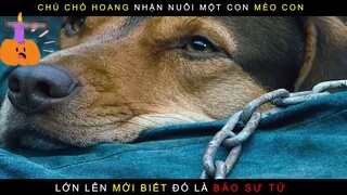 Review phim: Đường về nhà của cún con-part3 #phimhay