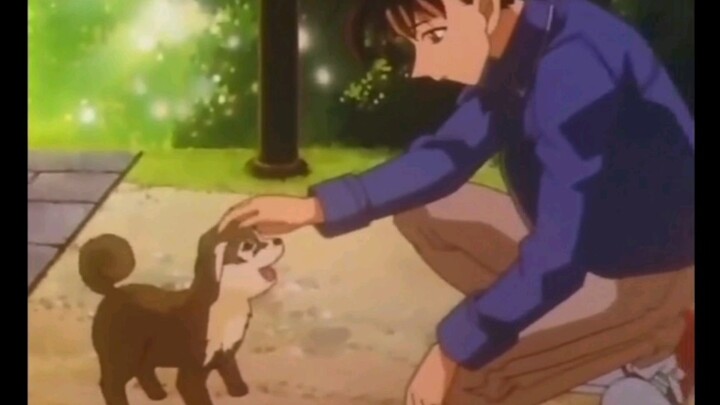 Dengan wajah sedih yang jarang terjadi, Kudo Shinichi juga seorang pemuda yang memiliki banyak kekha