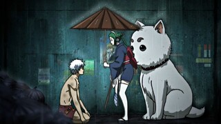 "Aku tidak akan marah, Gintoki-sama, selama kamu membawaku bersamamu." [Gintama]