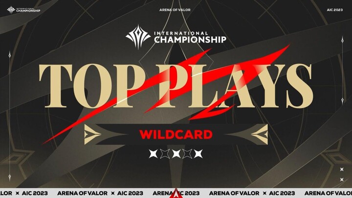 Top Play Wildcard AIC 2023 - Garena AOV Indonesia