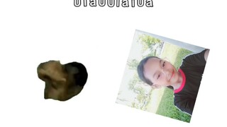 meme