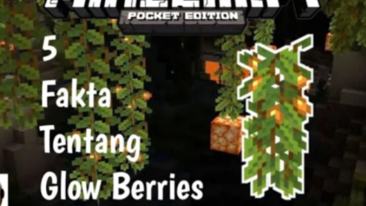 5 fakta tentang glow berries -MinecraftPE