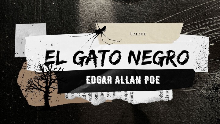 EL GATO NEGRO - EDGAR ALLAN POE