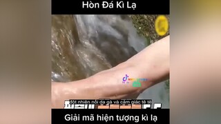 Giải mã hiện tượng kì lạ LearnOnTikTok MeReviewPhim nnt_review