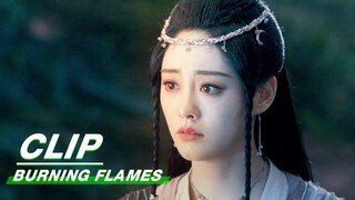 Alan Said She Would Kill Bai Cai if Necessary | Burning Flames EP26 | 烈焰 | iQIYI