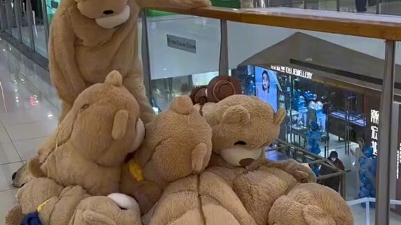 it’s so cute🥺🥺🥺🥺🥺