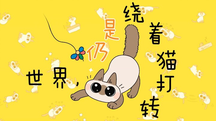 [Siamese Cat Xiaodou Ni] แอนิเมชั่นของเล่นใหม่ของเสี่ยวโต่วหนี่ตอนที่ 13 (บางทีคุณอาจเจอแมวที่หมดควา