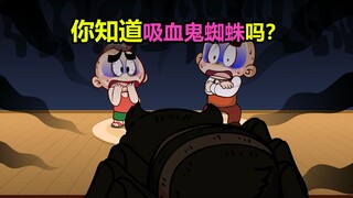 【唐唐】涨知识！吸血鬼蜘蛛却讨人喜欢？