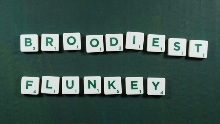 Broodiest Flunkey