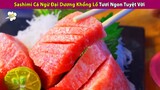 Sashimi Cá Ngừ Đại Dương Khổng Lồ Tươi Ngon Có Khiến Bạn Thèm | Review Con Người Và Cuộc Sống