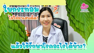 ใบกระท่อม ใช้รักษาโรค!?!? | หมอยามาตอบ EP.97