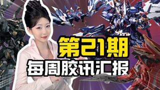 【第21期】国模新势力 每周胶讯汇报