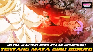 INI DIA MAKSUD PERKATAAN MOMOSHIKI TENTANG MATA BIRU BORUTO YANG AKAN MENGAMBIL SEGALANYA