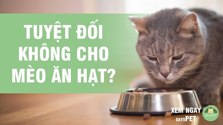 Chia sẻ hơn 67 về hình khế thúi mới nhất  coedocomvn