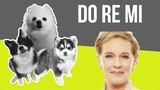 Do Re Mi (The Sound of Music) but it's Doggos and Gabe