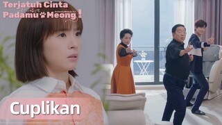 Accidentally Meow On You | Cuplikan EP17 Ini Cara Menantu Menyenangkan Mertua? | WeTV【INDO SUB】