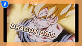 Dragon Ball Is Our Memory_1