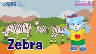 Belajar dan Mengenal Hewan Zebra