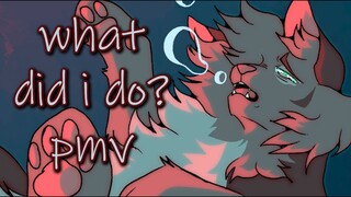 what did i do? - Flametail mini PMV