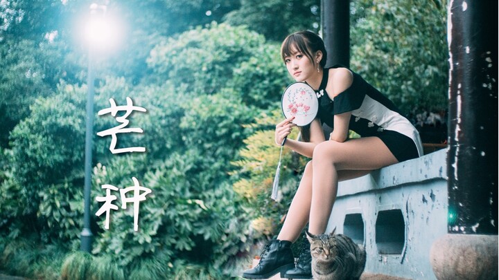 【冥月】芒种（低温小战士/芒种冬至傻傻分不清/离别作）