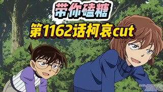 【带你磕糖】柯南TV动画第1162话"柯哀"cut,少侦的奇妙冒险?小哀怎么这么懂小柯呀