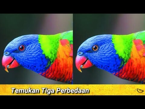 Temukan Semua Perbedaannya Jika Memang Mata Anda Normal