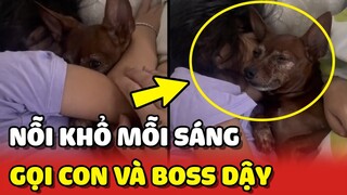 NỖI KHỔ mỗi sáng phải GỌI cả con gái lẫn Boss THỨC DẬY 😂 | Yêu Lu