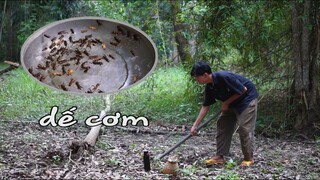 Đào Dế Cơm, Dế Mèn Làm Món Ăn Mà Tuổi Thơ Nhớ Mãi