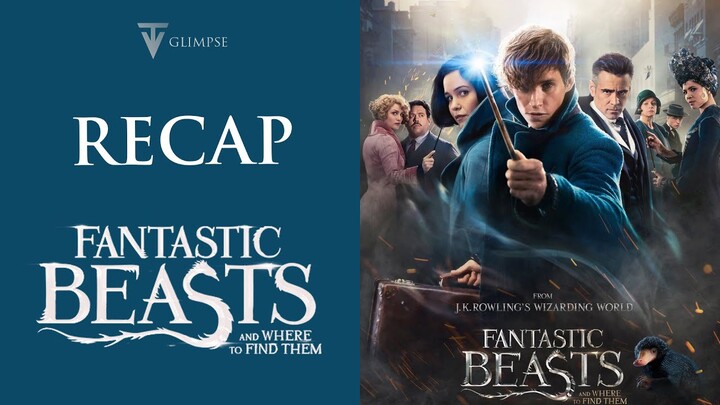 Fantastic Beasts and Where to Find Them | Recap