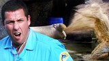 Adam Sandler's Vomiting Walrus Incident