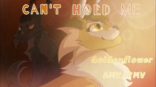 Can't hold me - a Goldenflower AMV/PMV {Warriors Cats}