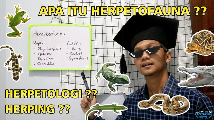 Apa itu Herpetofauna? Apa itu Herpetologi? Serta Penjabaran Ordo pada Class Reptil dan Amfibi 🦎🐍🐢🐸