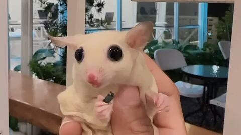 🥰🥰