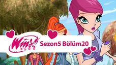 Winx Club - Sezon 5 Bölüm 20 - Aşk Sorunları