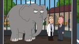"Old Man Fucking Elephant"