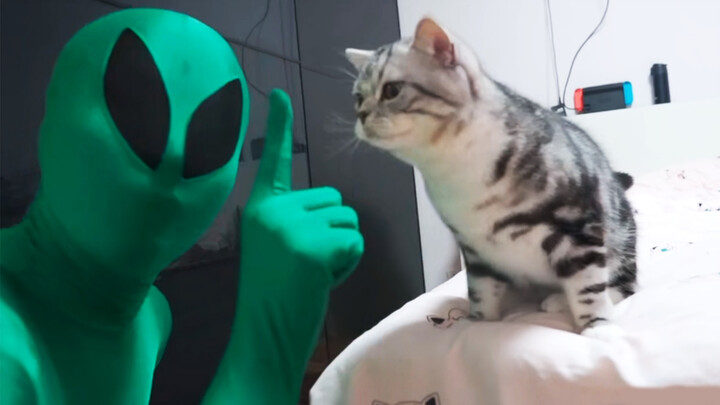[Cat] Can a cat communicate with an alien?