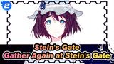 Stein's Gate
Gather Again at Stein's Gate_2